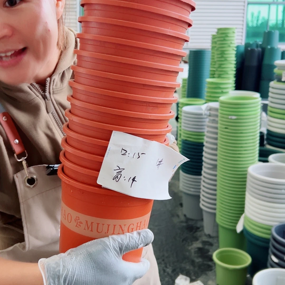 瑕疵1加仑红色20个无托