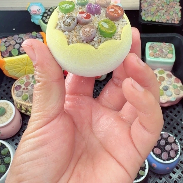 500零下地区记得拍保温箱满18包邮