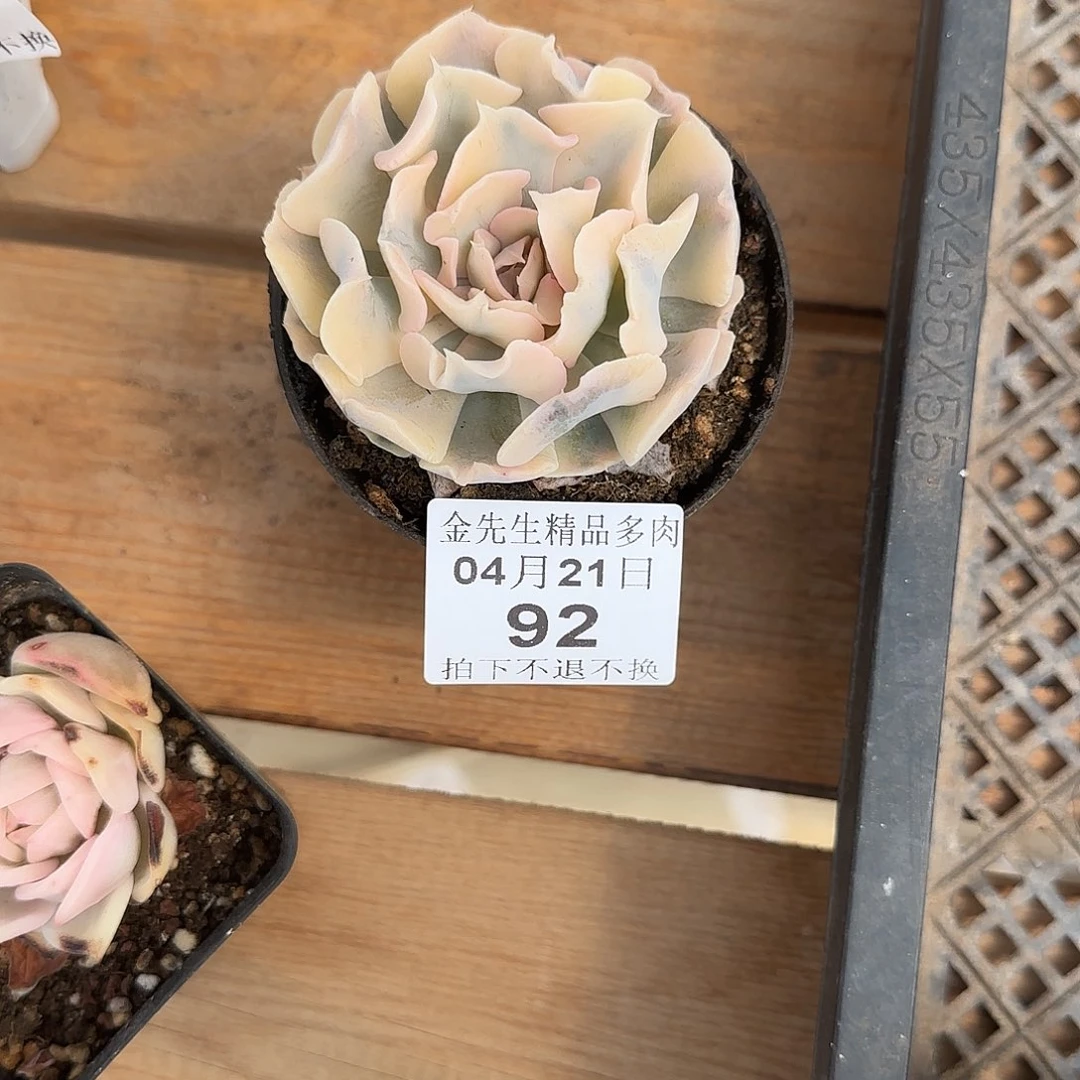 平****销0421-92利比里亚j