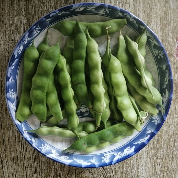 东访甄选东北新鲜油豆角黑龙江特产 鼓油豆几豆角农家嫩绿豆角 一