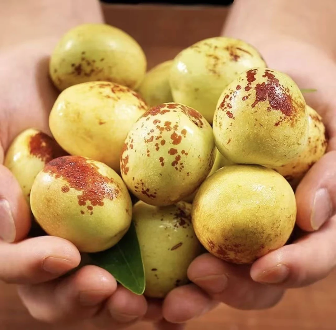 山东沾化现摘冰糖冬枣脆甜多汁当季新鲜水果