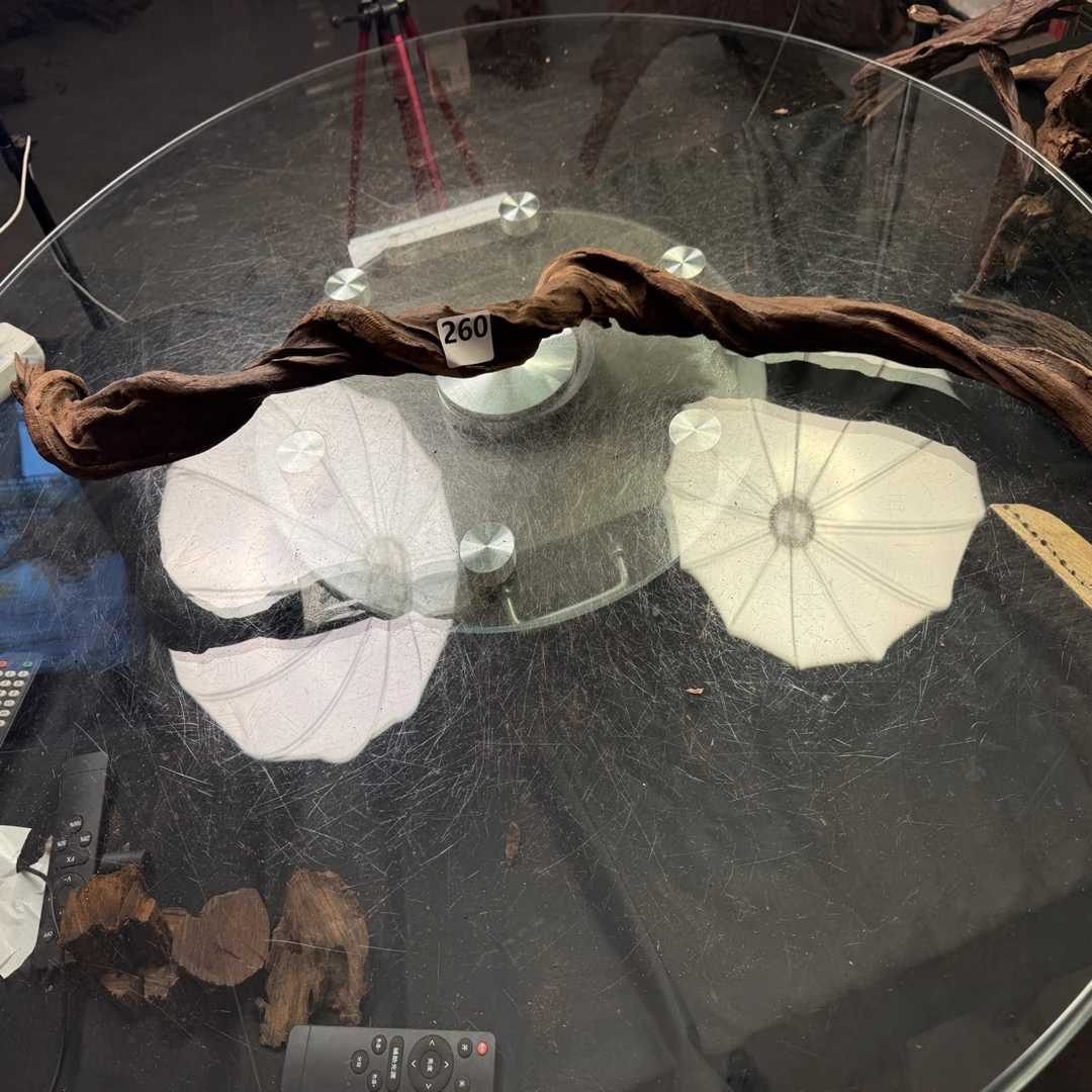 沉木 云南紫柚木秒沉260