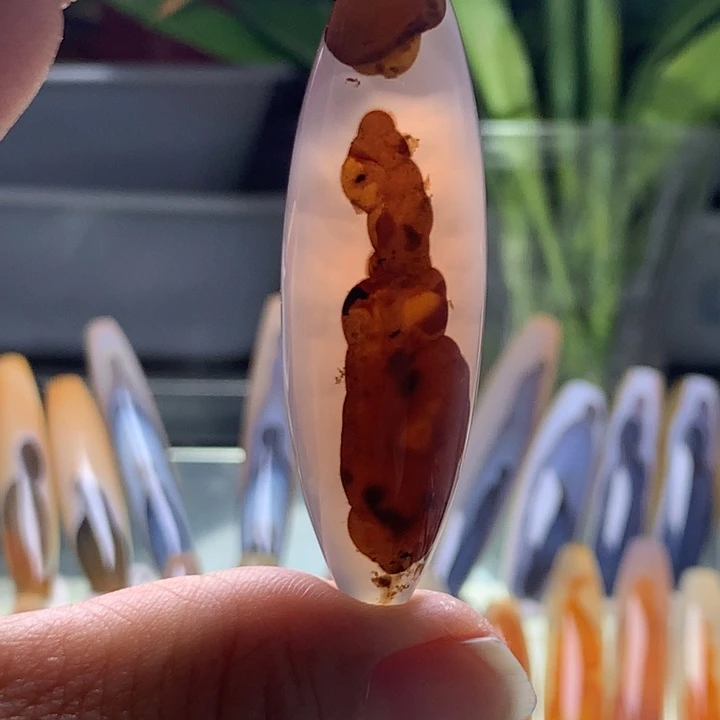 未镶嵌颈饰玛瑙/玉髓20