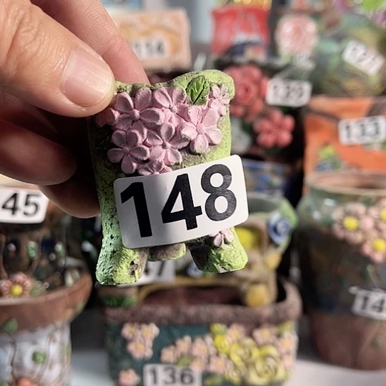 红陶多肉植物花盆