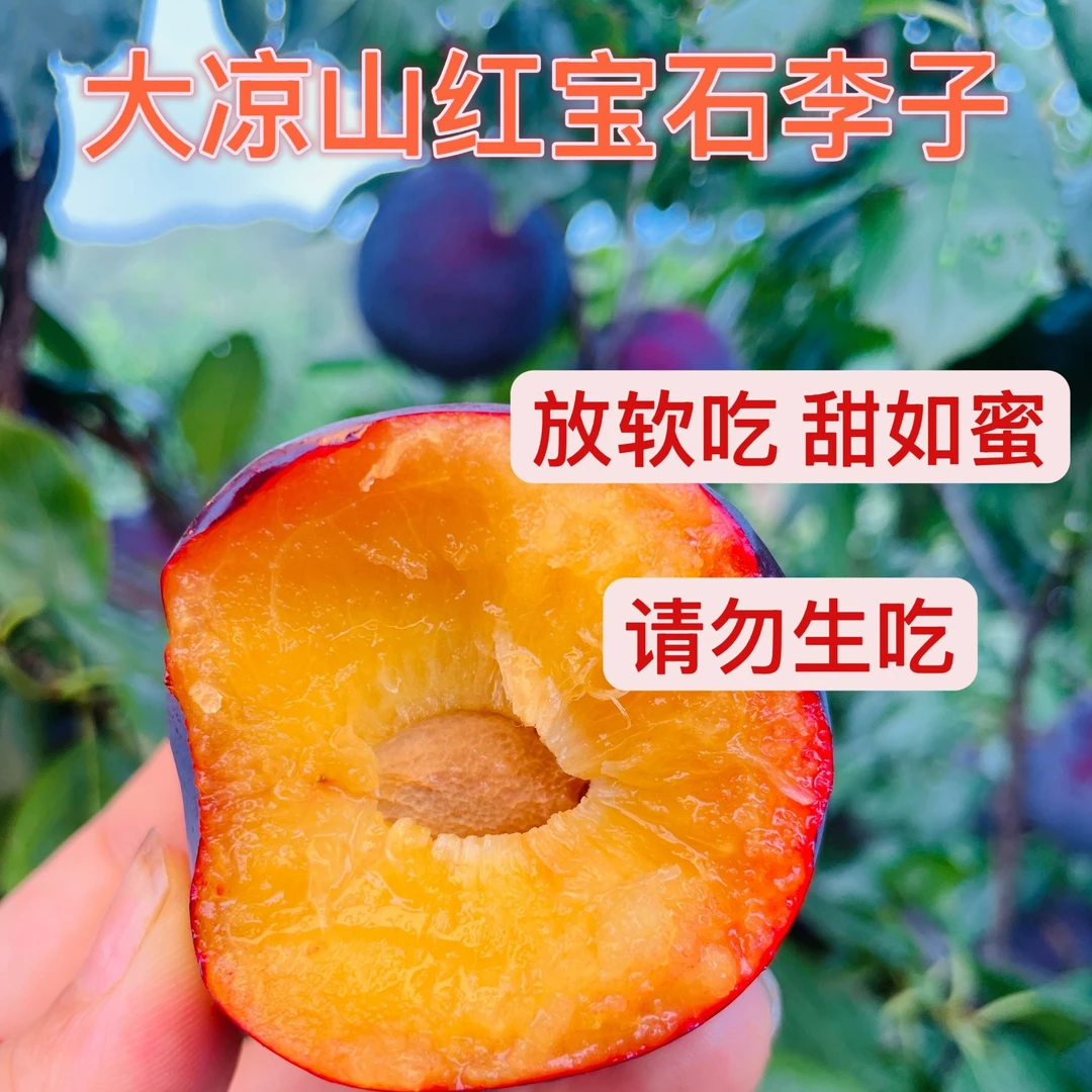 【京东-放软再吃】四川大凉山红宝石恐龙蛋李子新鲜孕妇水果李子-