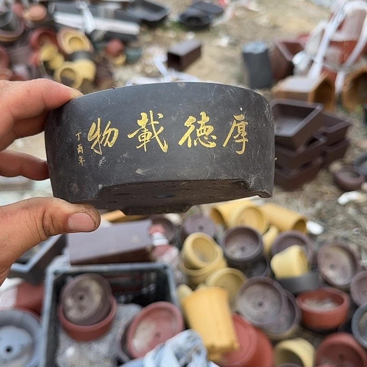 这就是为什么不可以说呢还是