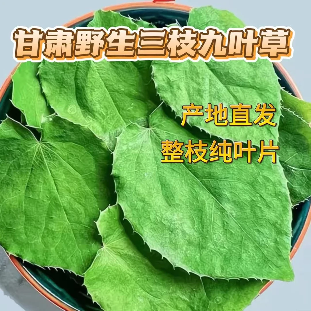 甘肃野生三支九叶草小圆叶(纯叶）泡水 煮水泡8+1