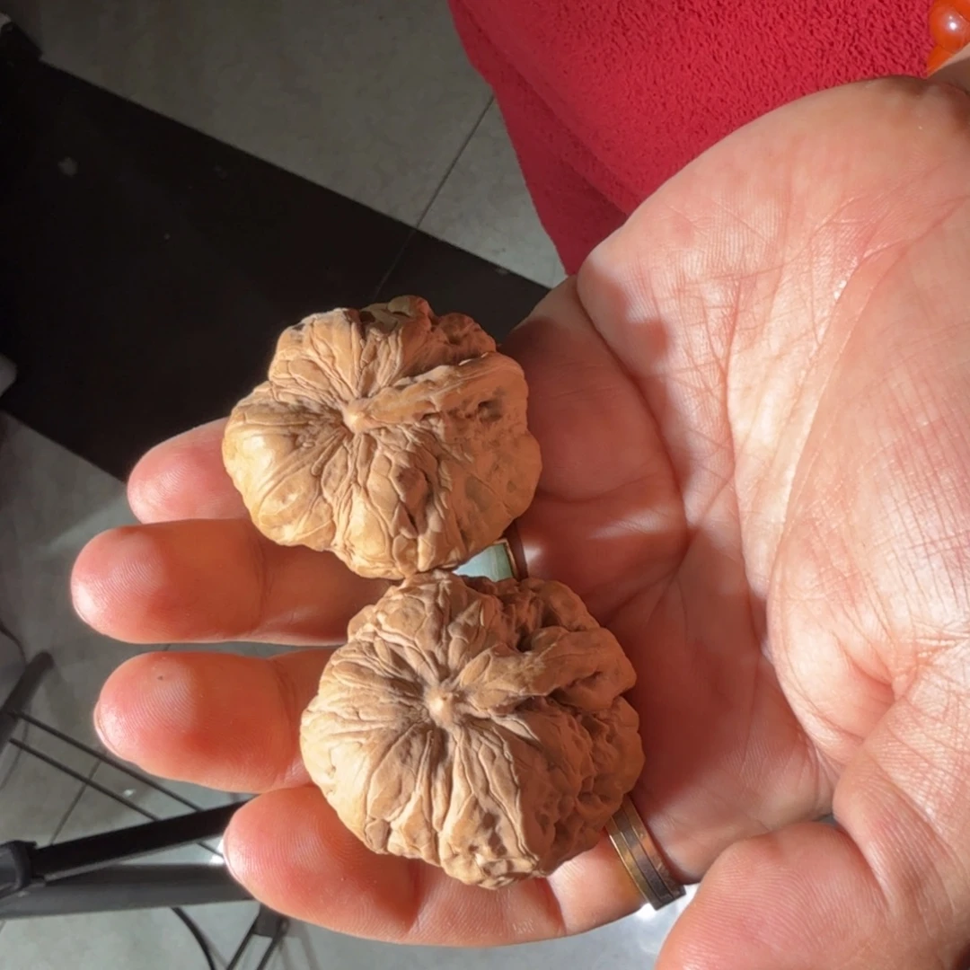 文玩核桃把件175号一帆风顺蛤蟆大