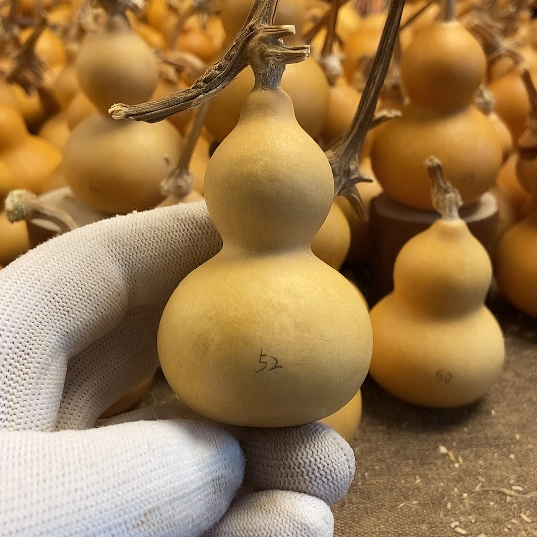 文玩葫芦 完美主义者 慎拍52