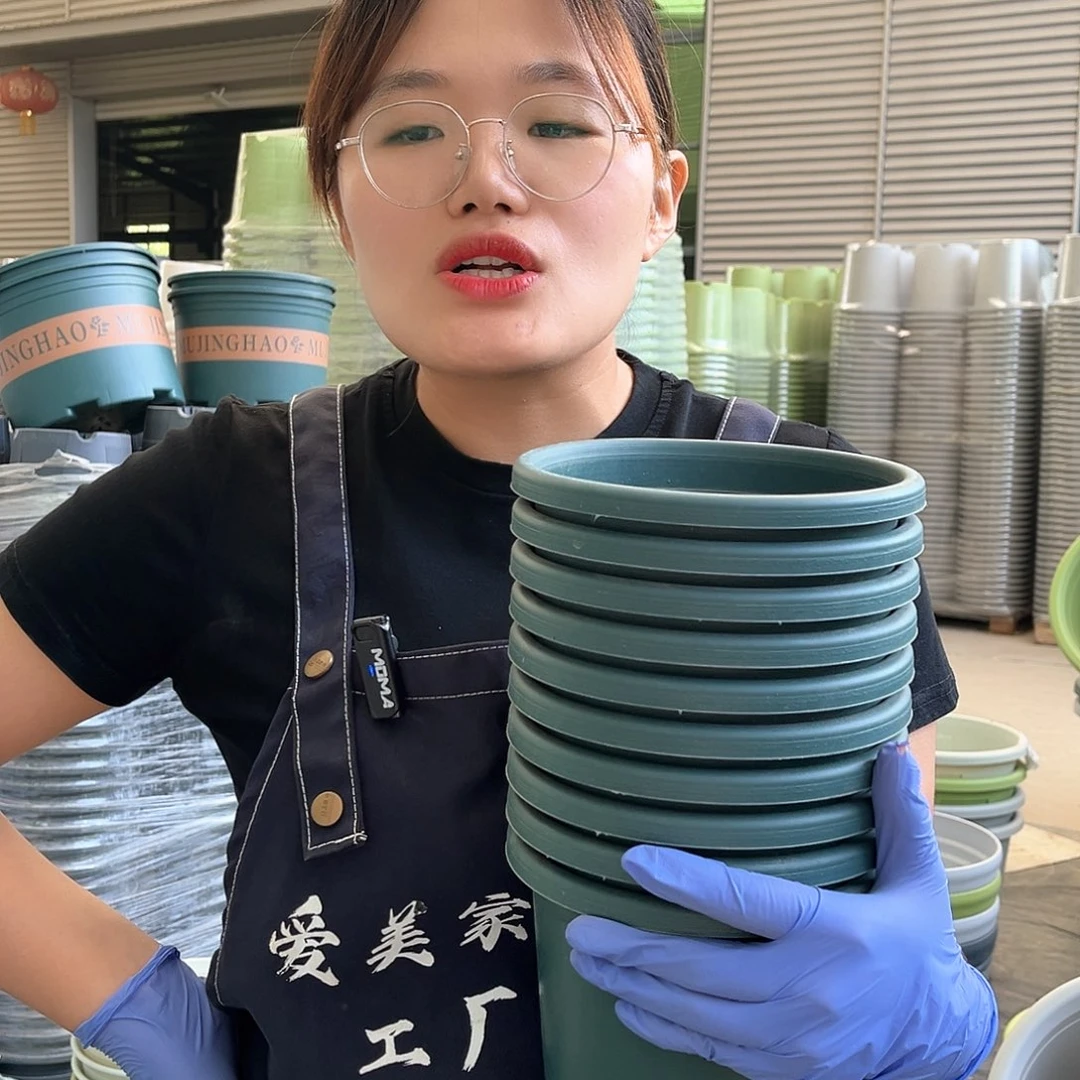 四季盆2#墨绿色10个无托