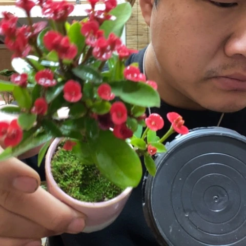 红陶一物一拍所见即所得52