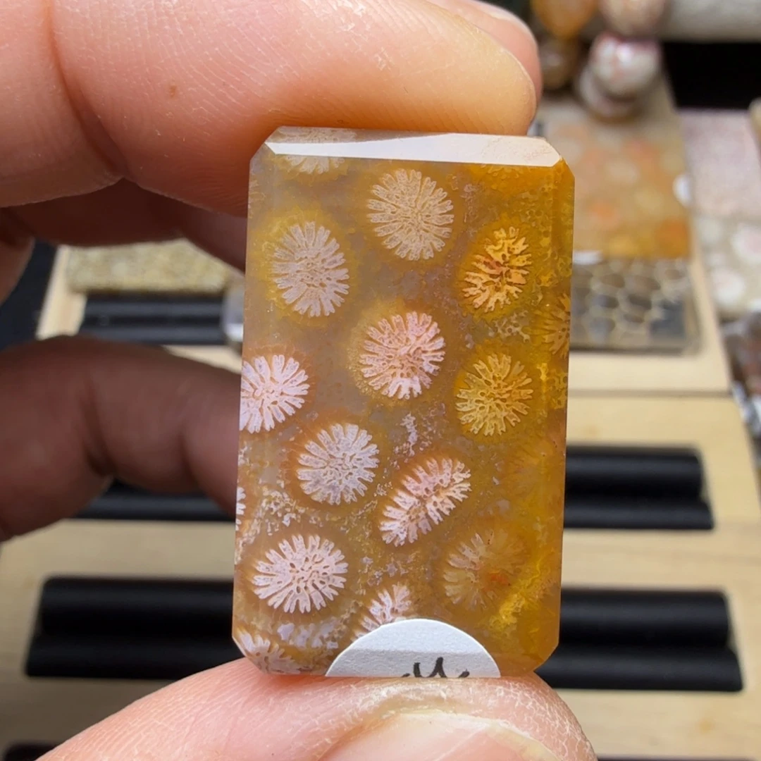 硅化玉未镶嵌纯天然色有机玉石保真色