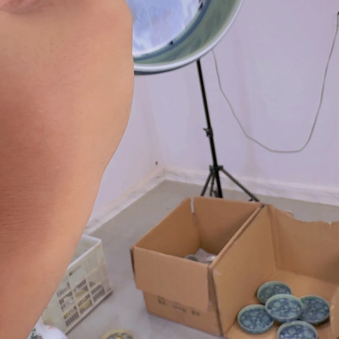 瓷片青釉狮子大壶乘景德镇