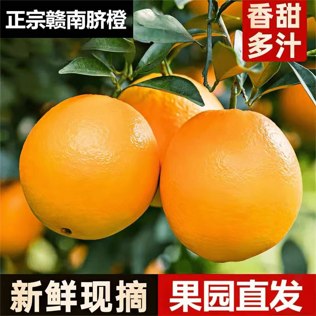 (顺丰九省包邮)正宗江西赣南脐橙现摘新鲜水果产地直发应季好吃
