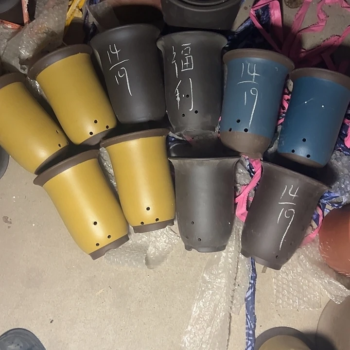 周深周深周深周深