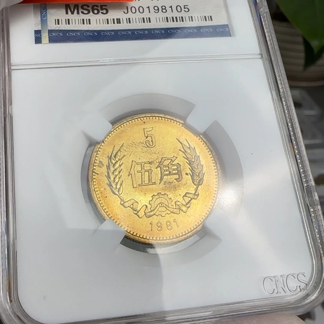 81年五角评级带黑点