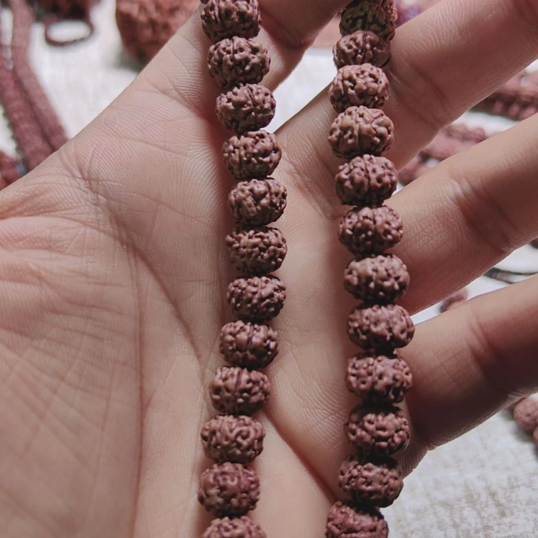 金刚菩提吊坠树王金刚菩提