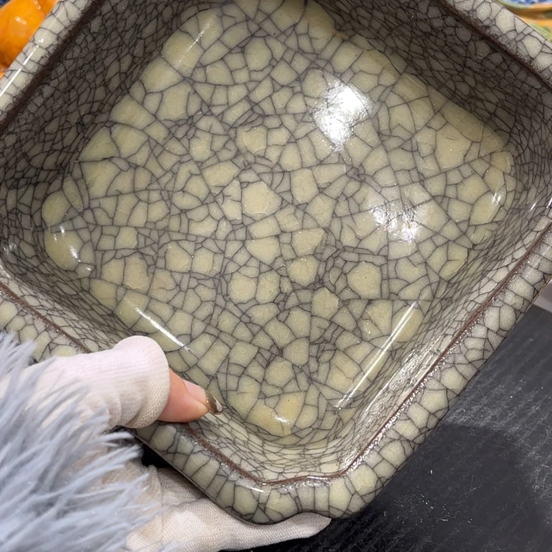 摆件这个世界上最好的朋友