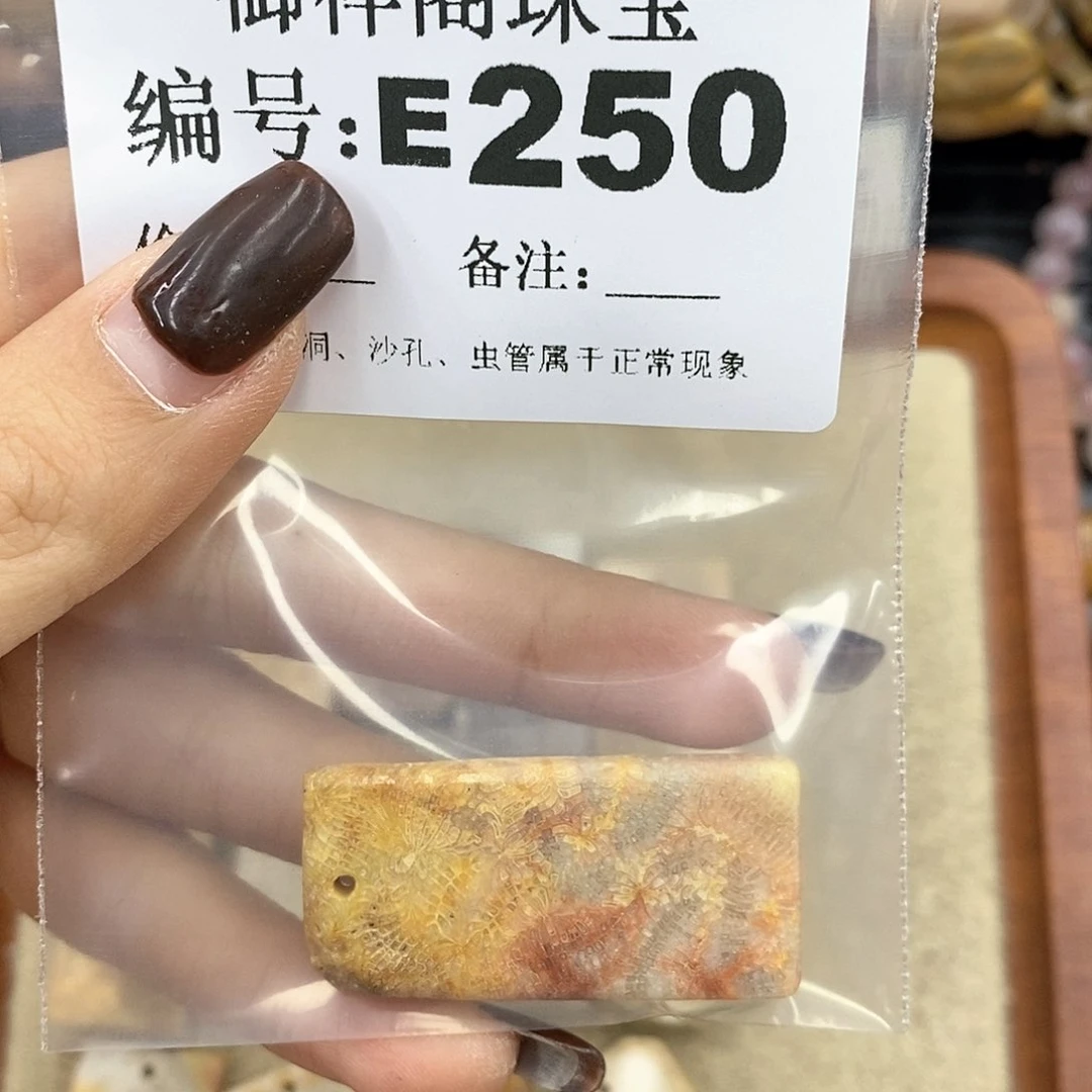 硅化珊瑚（珊瑚玉）u未镶嵌清*