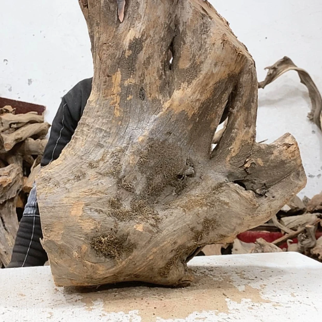 【闪购商品】柏木增*我们都是好孩子