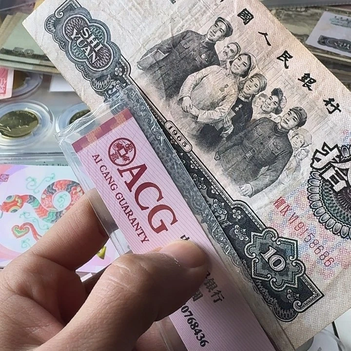 流通金马补号8686………………流通