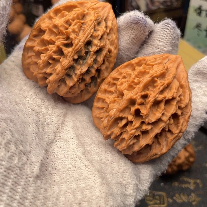 核桃43尺秦岭野生大龙福利