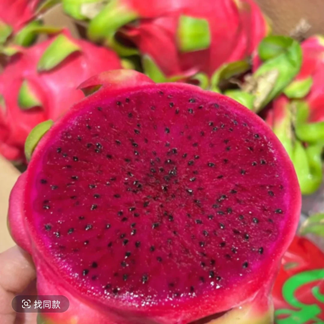 海南红心火龙果