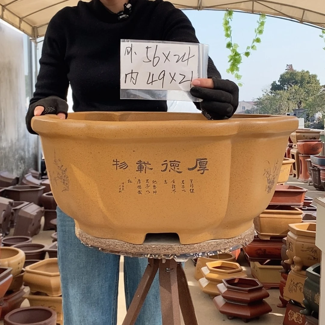 花盆紫砂紫砂花盆发两个