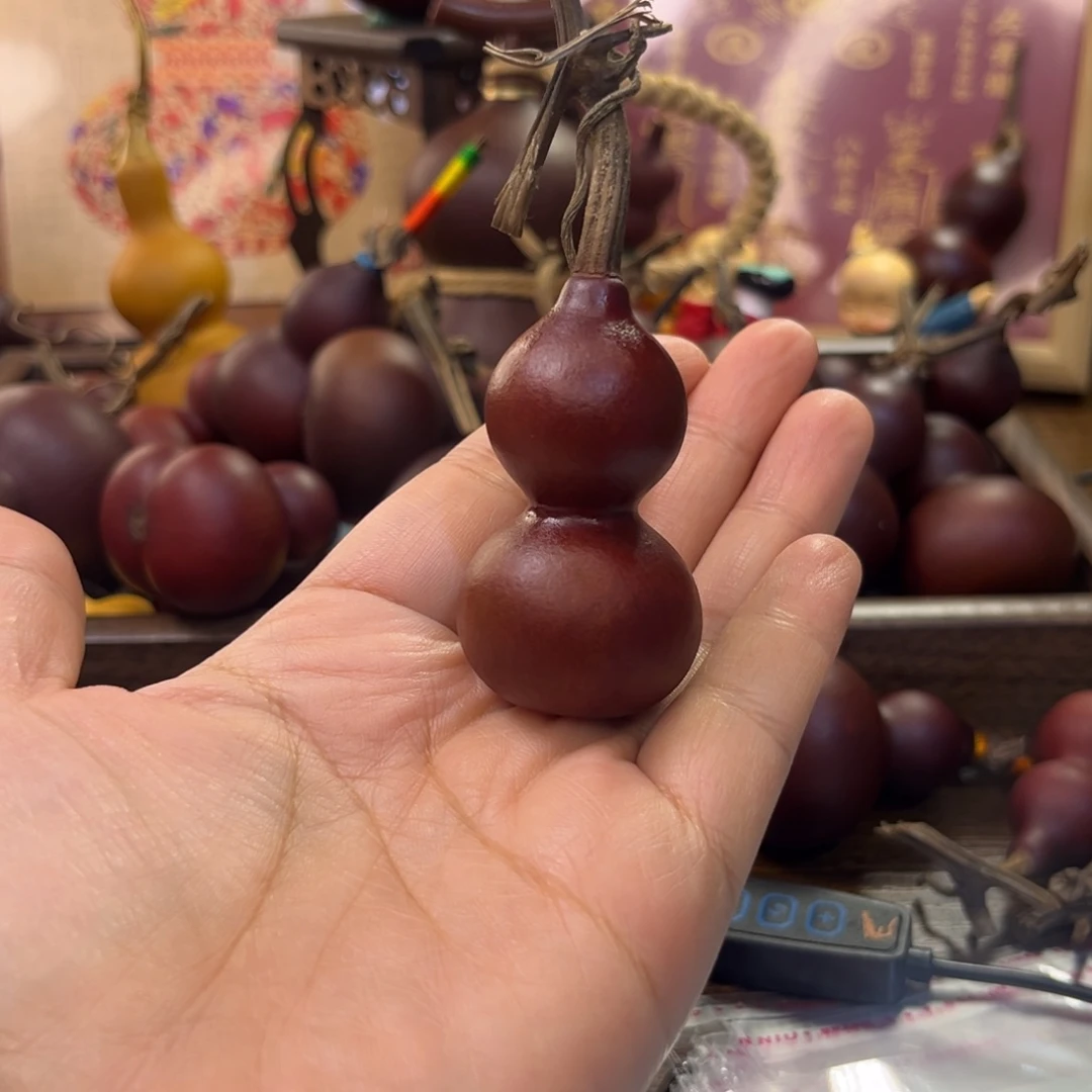 ?***?858385656你好