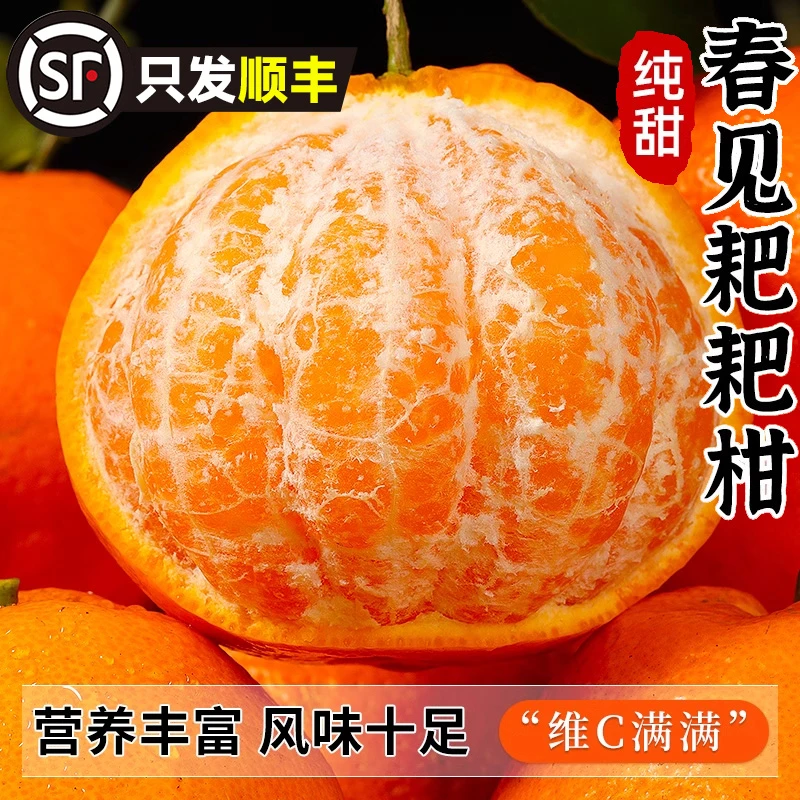 【顺丰包邮】四川春见耙耙柑正宗新鲜水果当季甄选果王丑橘不知火橘