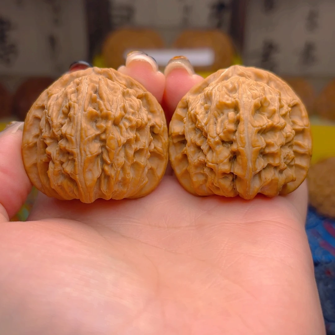 精***雷白狮子头四十一尺