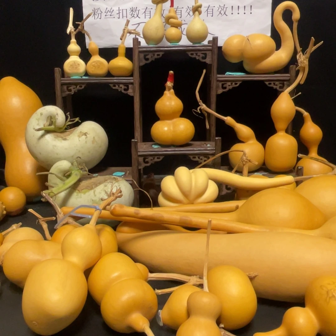 安***贝666666666666666666