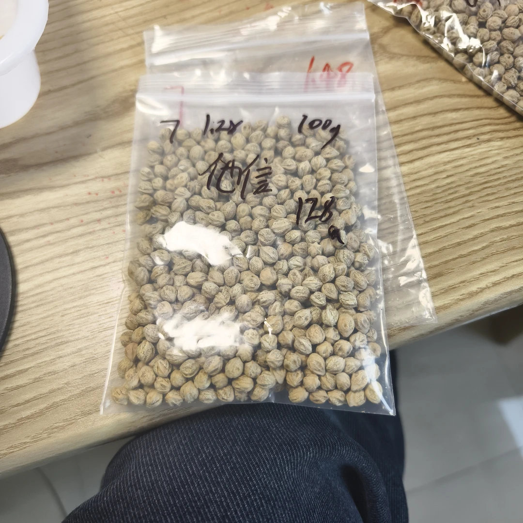 热振柏香籽散籽原料