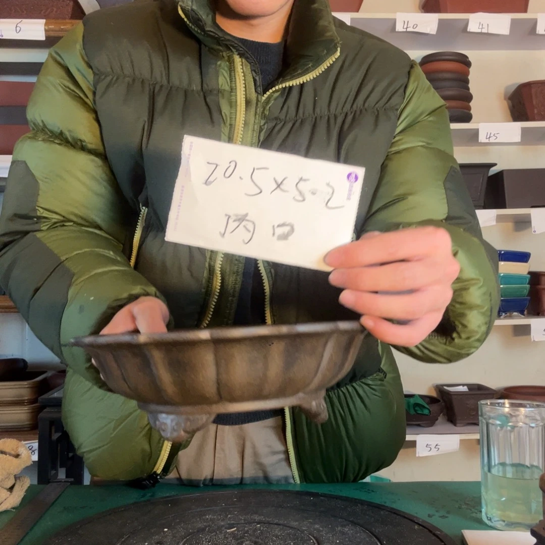 后果规范非常成功后果