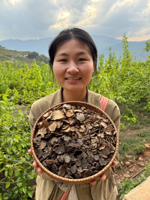 四川大凉山纯野生黑松露