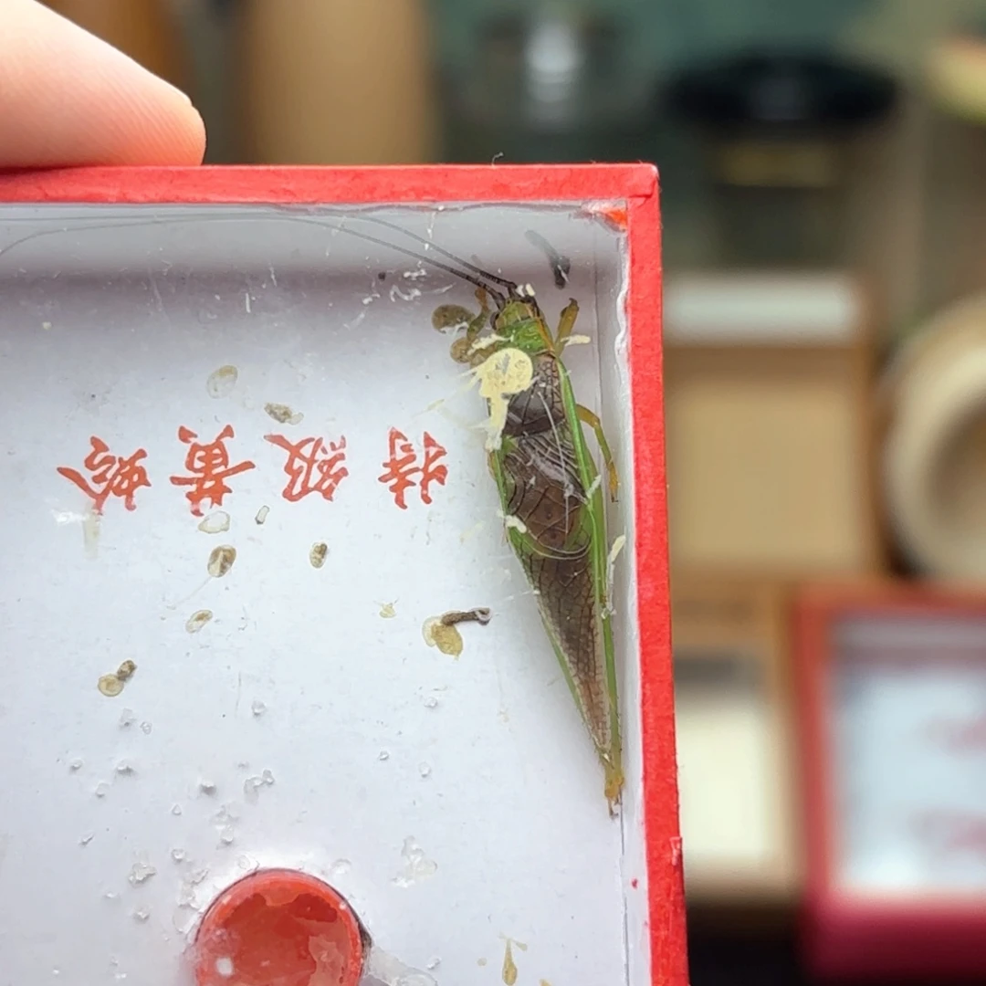 哈哈哈哈哈哈哈哈哈