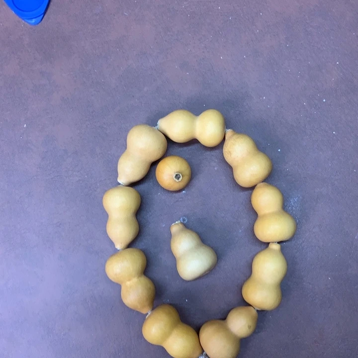 中号现货供应充足