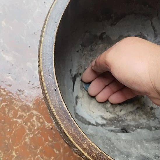 帮***名瓷片瓷器鉴定完毕之后