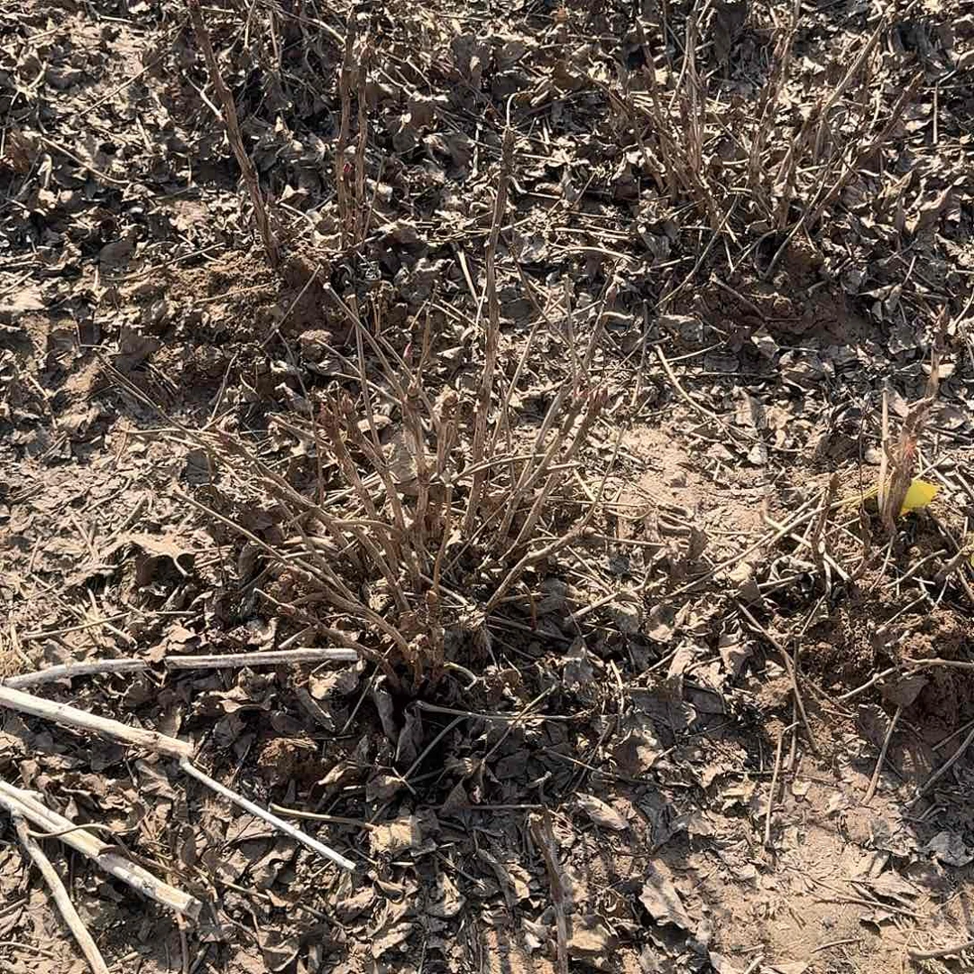 完全开放111111111