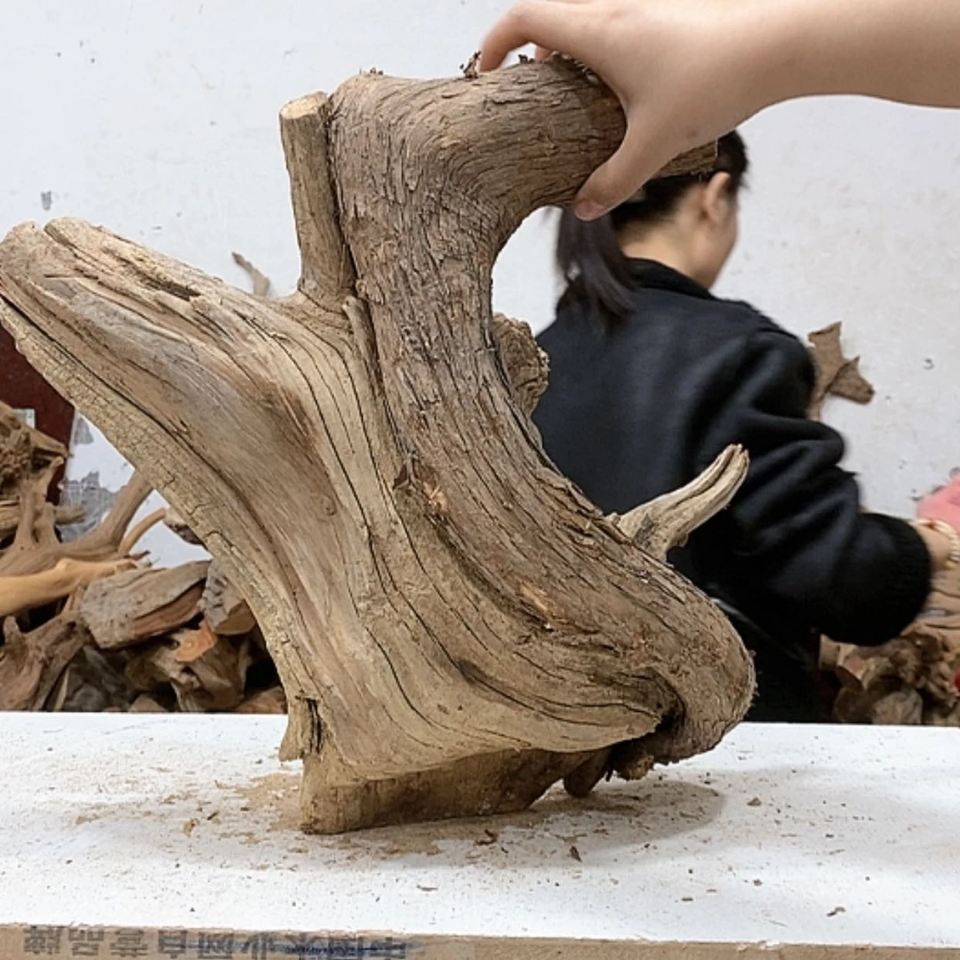 【闪购商品】柏木随**匠我们都是好孩子