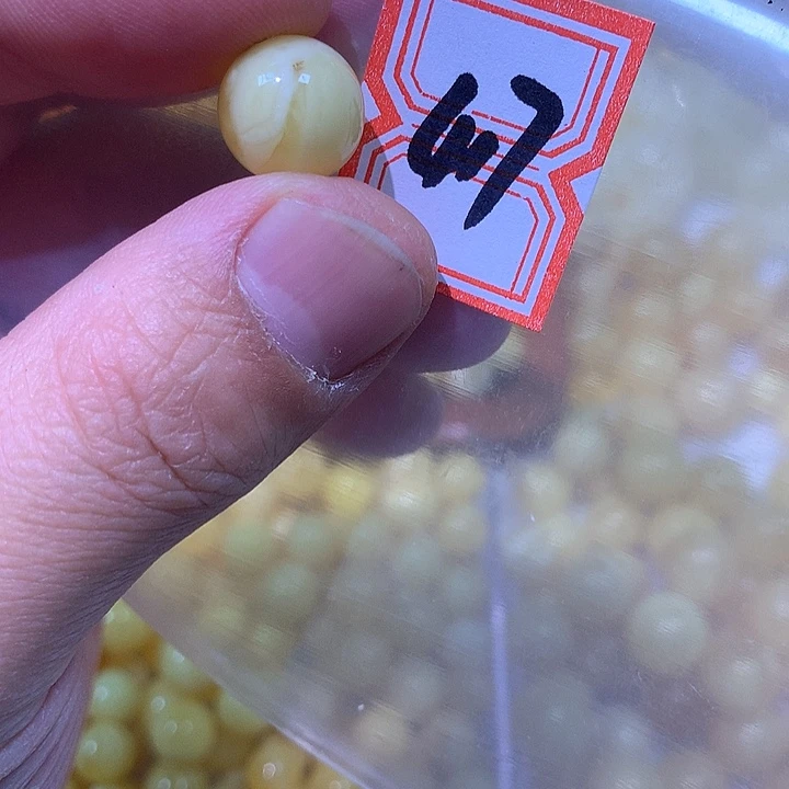 裸石琥珀未镶嵌12.2