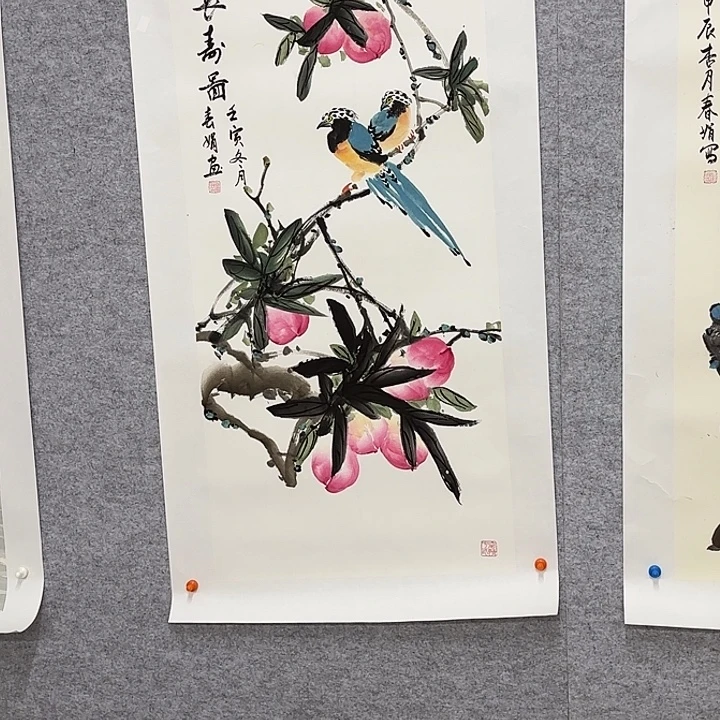 哈***哈国画花鸟等多种鸟类的栖息地和