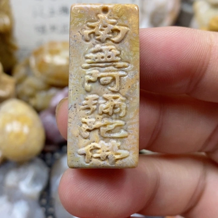 颈饰未镶嵌硅化珊瑚（珊瑚玉）小