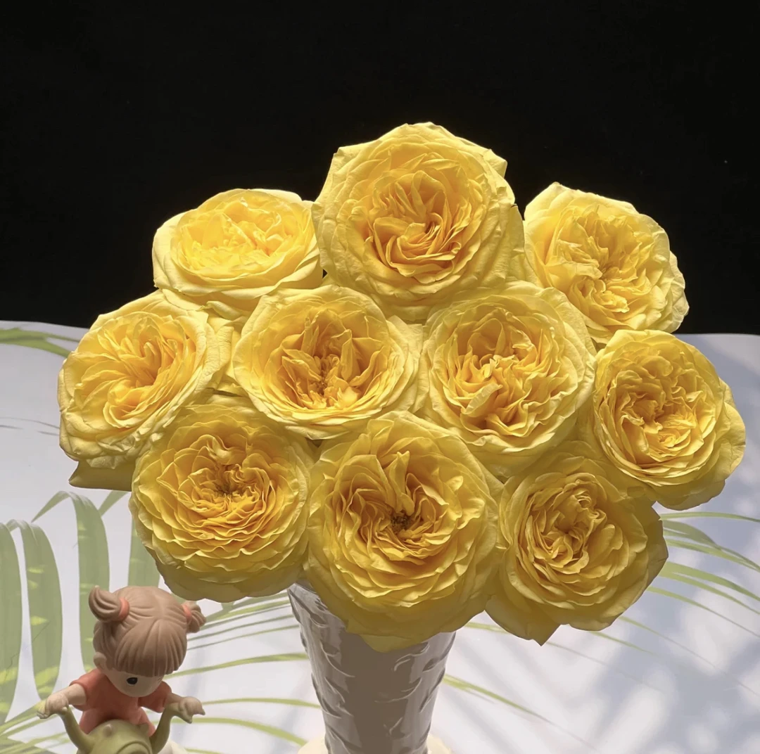 （曼）  奇迹女神15支+5支防损 鲜花任意满2单包邮