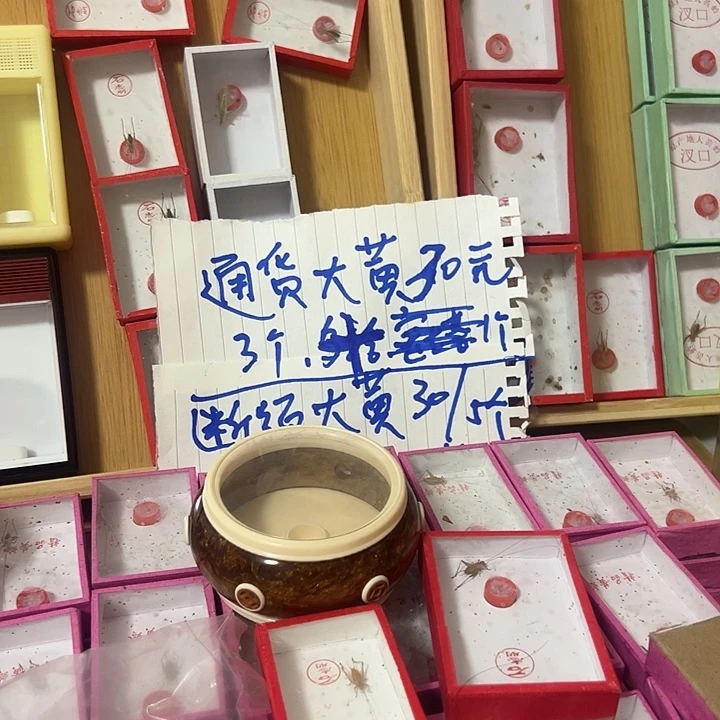 核***缘蟋蟀1绿蝈蝈2紫竹hhh