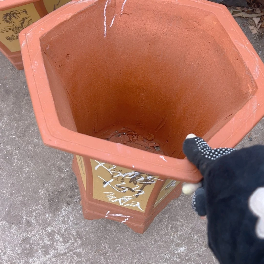 紫砂70………………………………