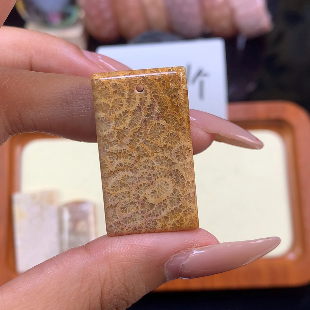 【闪购商品】颈饰未镶嵌硅化珊瑚(珊瑚玉)暖*