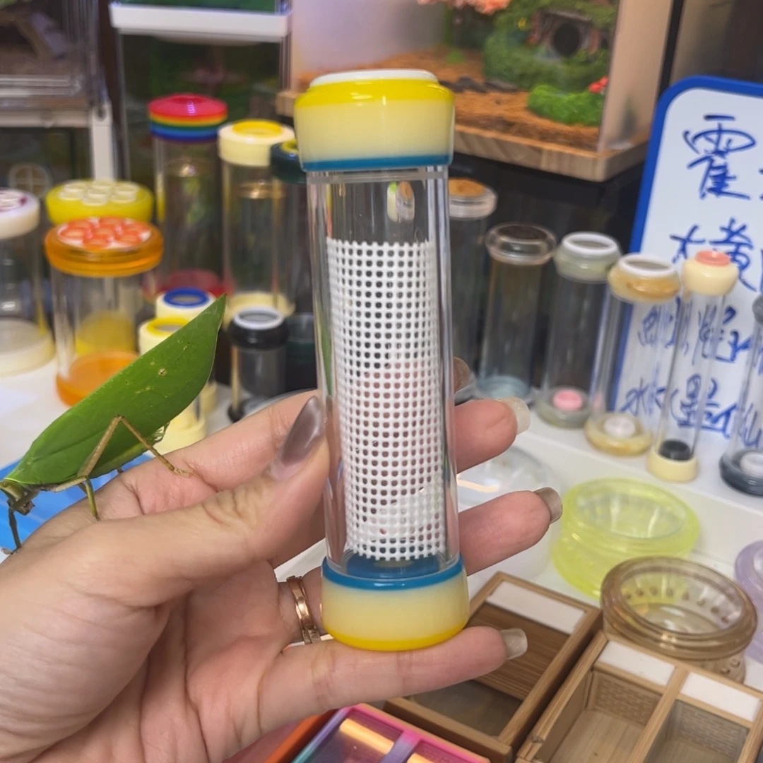 竹蛉桶送竹拍拍拍拍拍拍