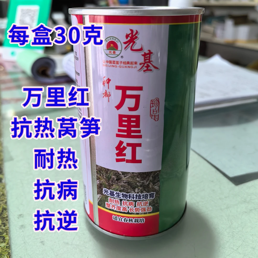 万里红抗热莴笋，耐热、抗病、抗逆