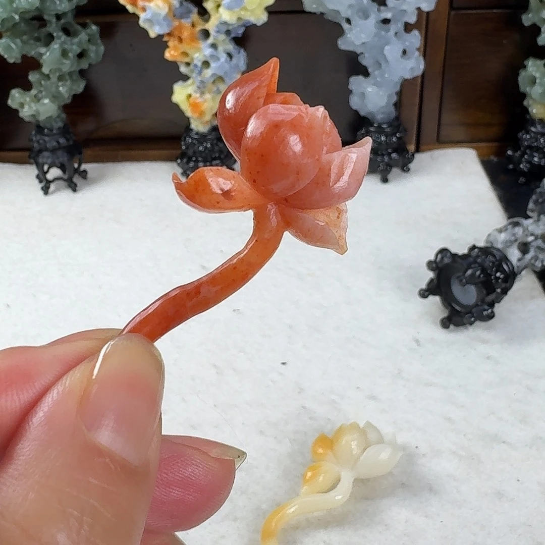 老挝石老挝石荷花